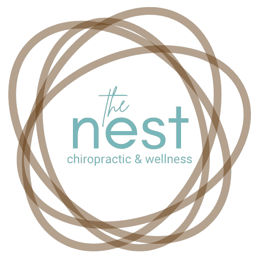 Updated Nest Logo (500 × 500 px)